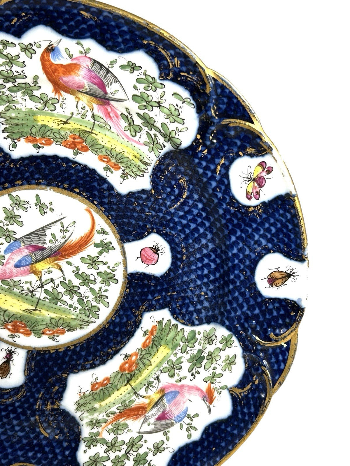 Antique Chelsea Porcelain Cabinet Plate with Exotic Birds and Insects