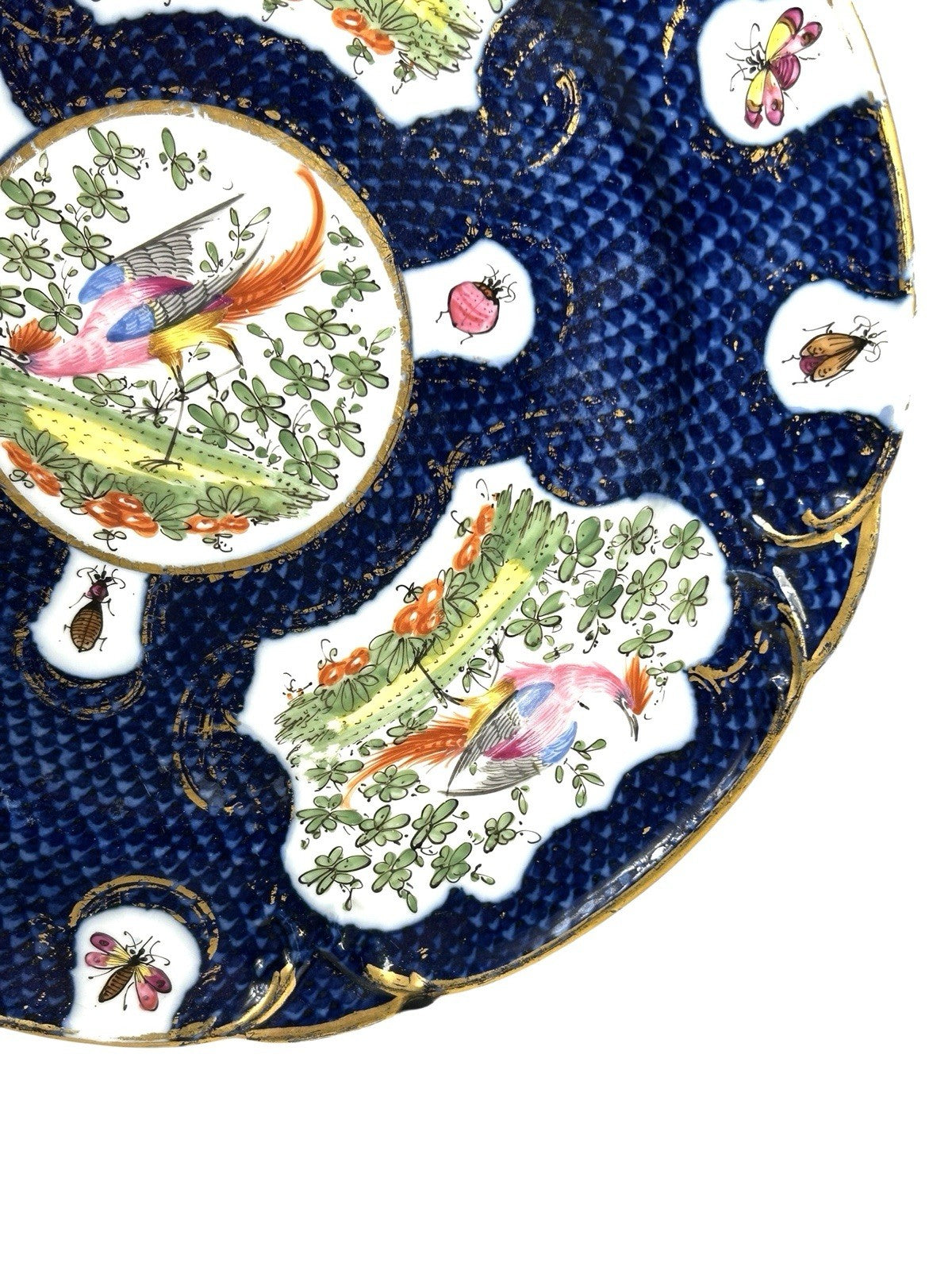 Antique Chelsea Porcelain Cabinet Plate with Exotic Birds and Insects