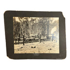 Antique Large Cabinet Card Early Photograph Australia Sawmill Owned by Mike Wolf