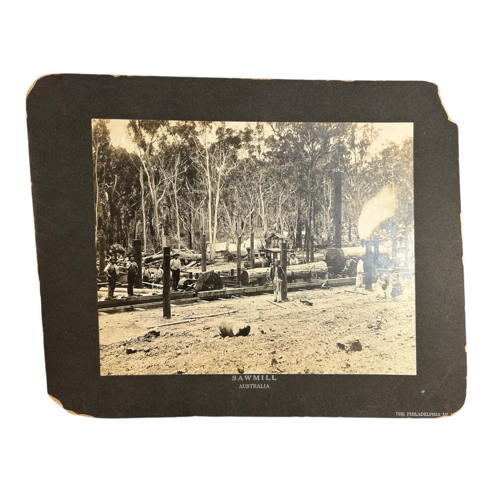Antique Large Cabinet Card Early Photograph Australia Sawmill Owned by Mike Wolf