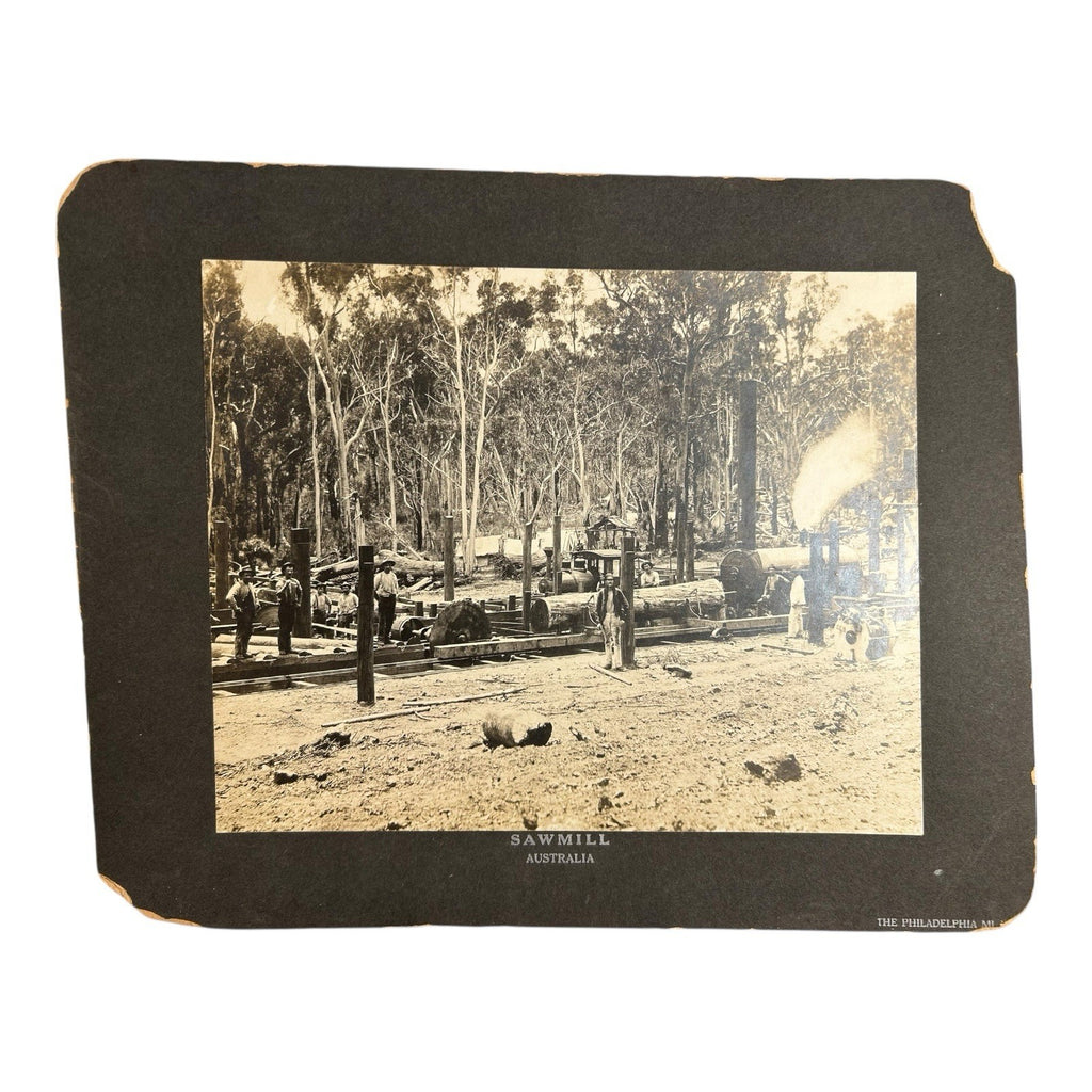 Antique Large Cabinet Card Early Photograph Australia Sawmill Owned by Mike Wolf