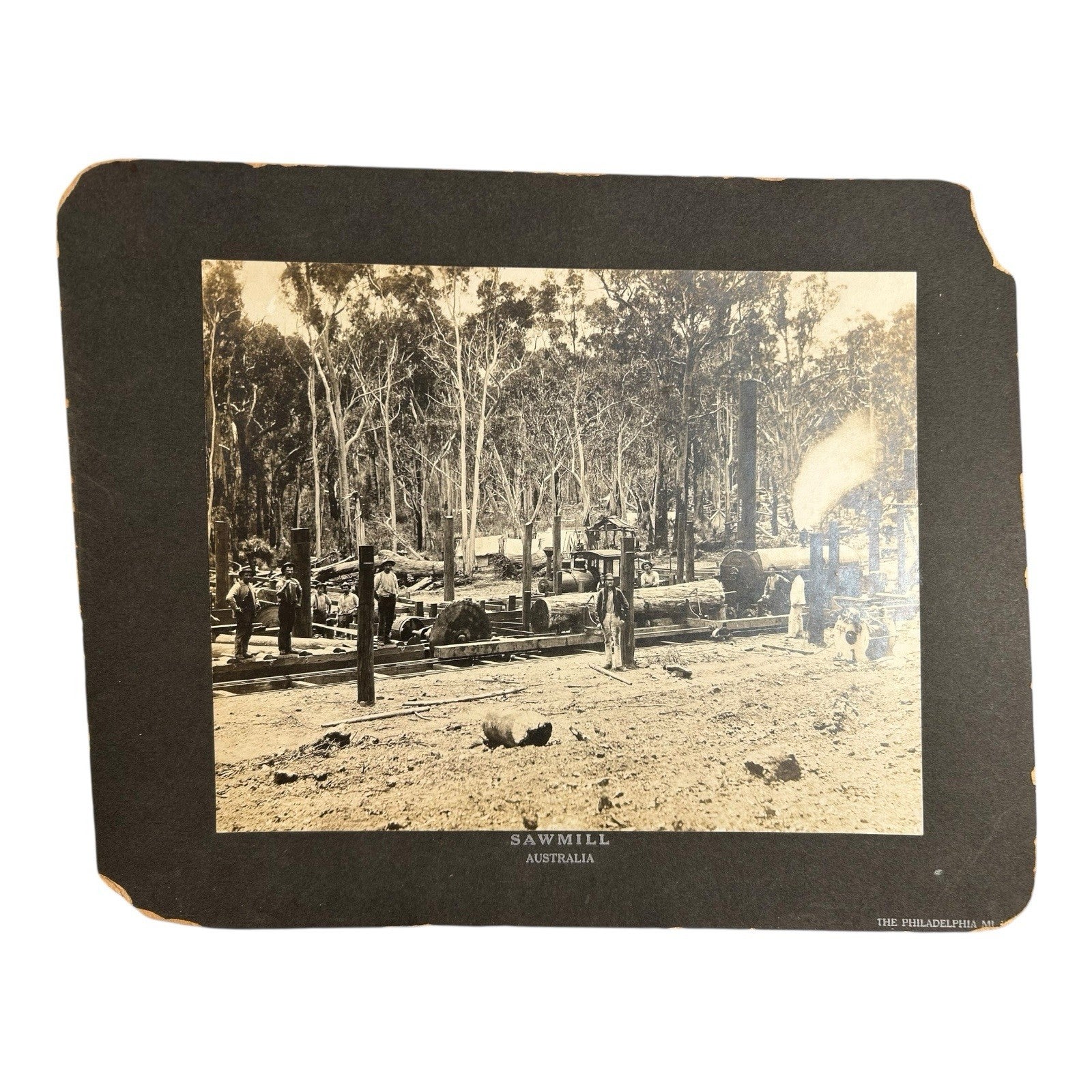 Antique Large Cabinet Card Early Photograph Australia Sawmill Owned by Mike Wolf