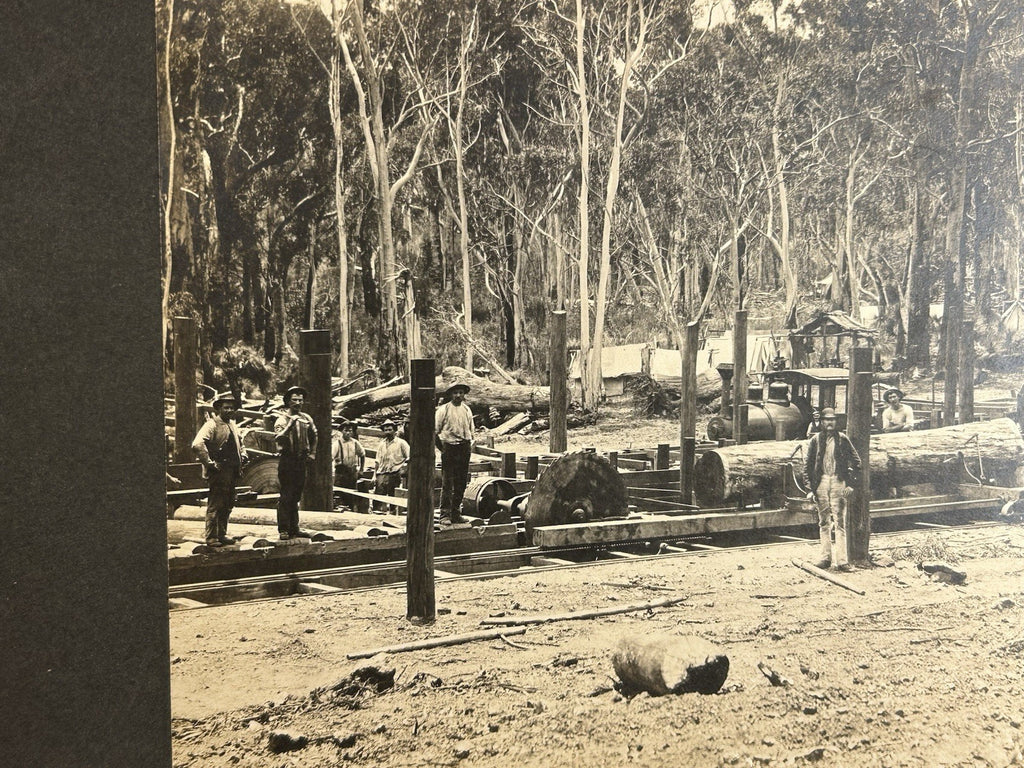 Antique Large Cabinet Card Early Photograph Australia Sawmill Owned by Mike Wolf