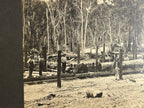 Antique Large Cabinet Card Early Photograph Australia Sawmill Owned by Mike Wolf