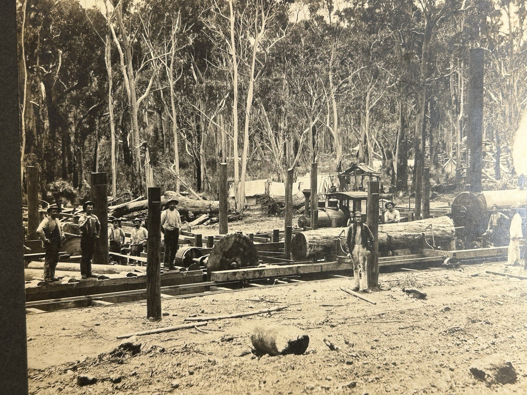Antique Large Cabinet Card Early Photograph Australia Sawmill Owned by Mike Wolf