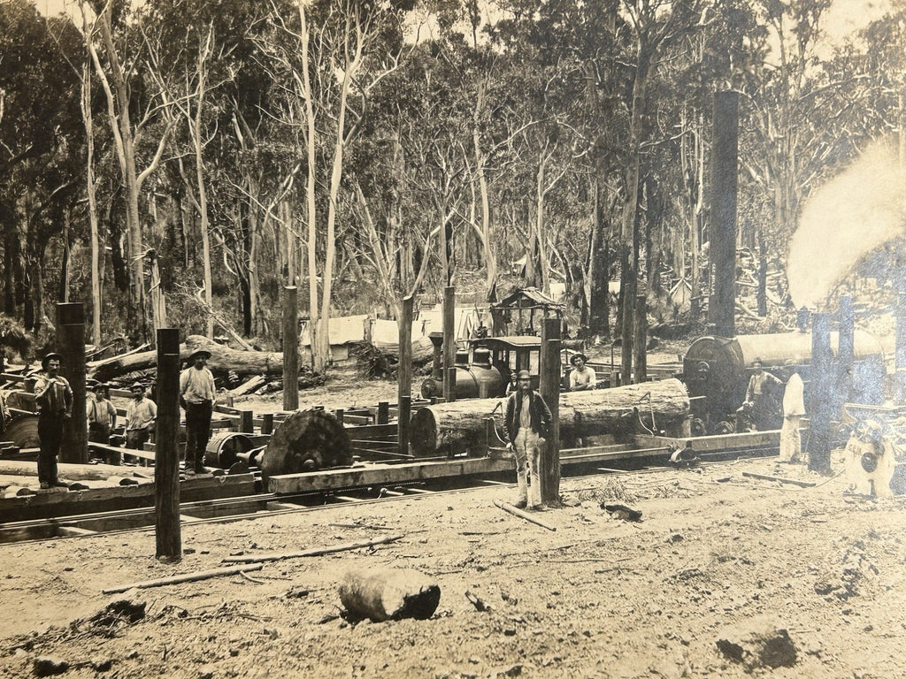 Antique Large Cabinet Card Early Photograph Australia Sawmill Owned by Mike Wolf