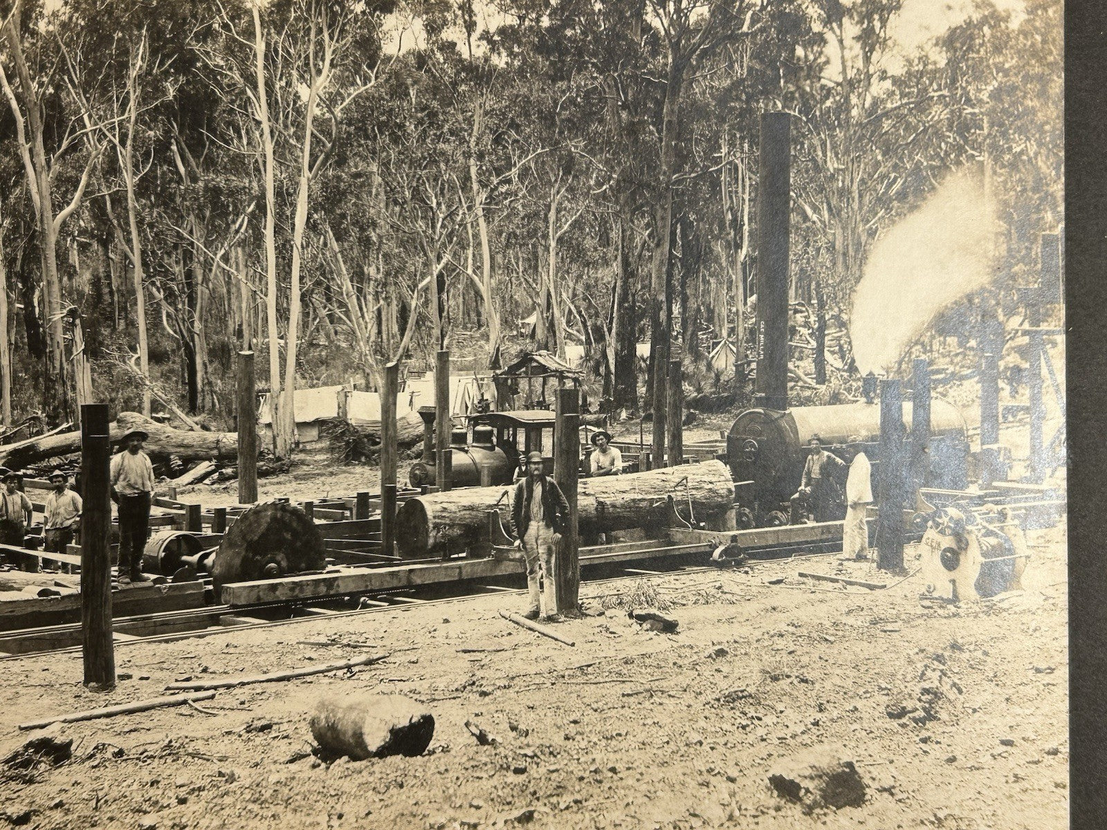 Antique Large Cabinet Card Early Photograph Australia Sawmill Owned by Mike Wolf