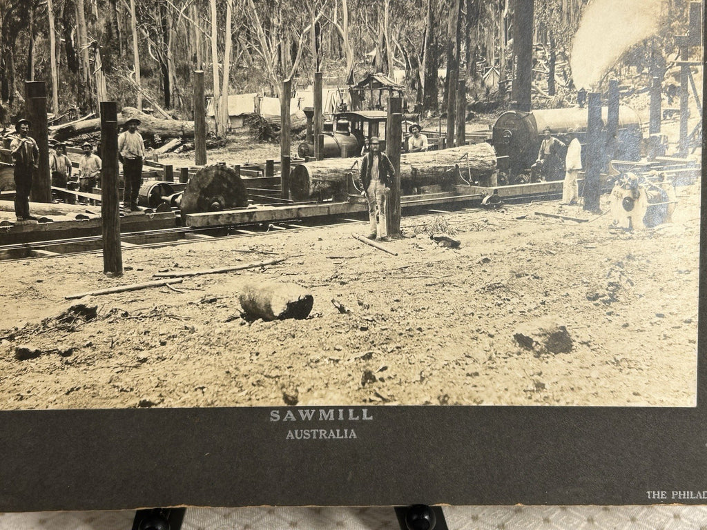 Antique Large Cabinet Card Early Photograph Australia Sawmill Owned by Mike Wolf