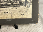 Antique Large Cabinet Card Early Photograph Australia Sawmill Owned by Mike Wolf