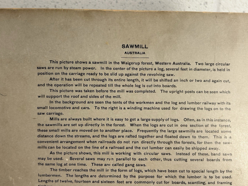 Antique Large Cabinet Card Early Photograph Australia Sawmill Owned by Mike Wolf