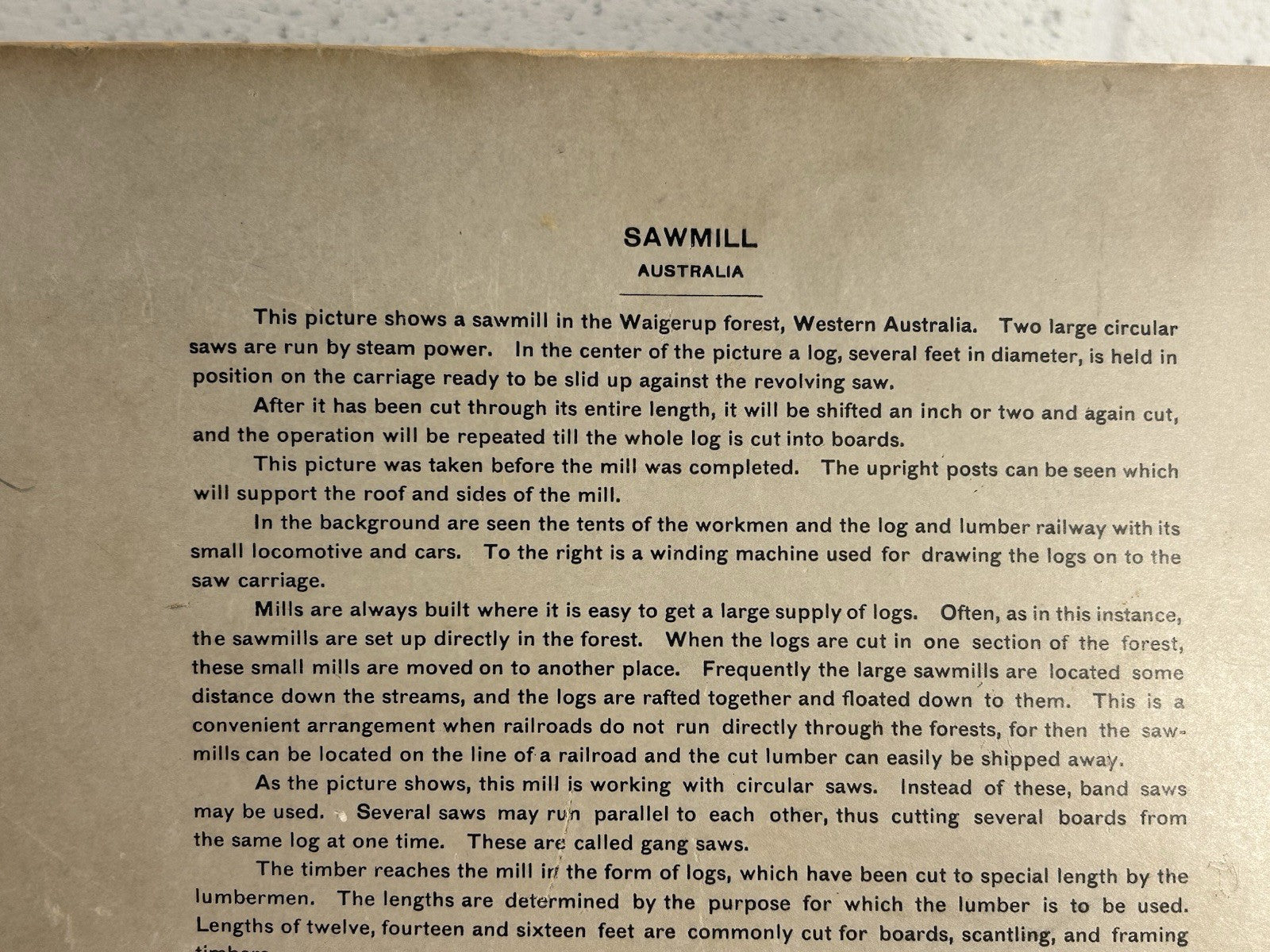 Antique Large Cabinet Card Early Photograph Australia Sawmill Owned by Mike Wolf