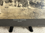 Antique Large Cabinet Card Early Photograph Coffee In Brazil Owned by Mike Wolfe
