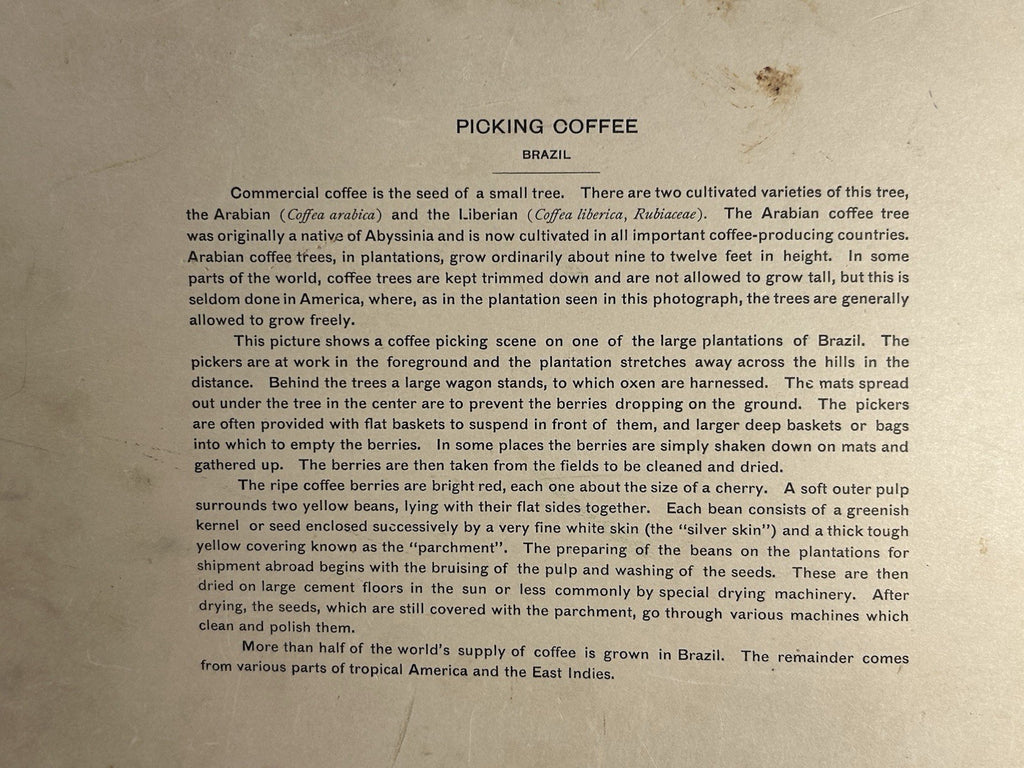 Antique Large Cabinet Card Early Photograph Coffee In Brazil Owned by Mike Wolfe