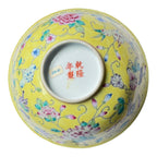 Antique Chinese Qing Dynasty Famille Jaune Bowl - Flower Sprigs Insects Pattern