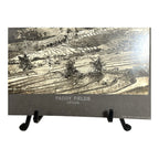 Antique Large Cabinet Card Early Photograph Paddy Fields Ceylon Owned Mike Wolfe