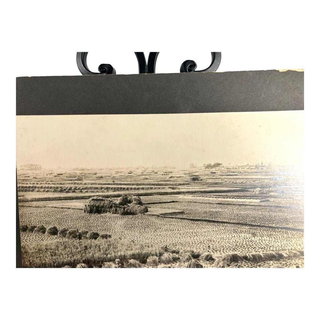 Antique Large Cabinet Card Early Photograph Cutting Rice Owned by Mike Wolfe
