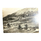 Antique Large Cabinet Card Early Photograph Paddy Fields Ceylon Owned Mike Wolfe