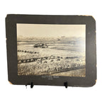 Antique Large Cabinet Card Early Photograph Cutting Rice Owned by Mike Wolfe