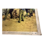 Vintage Western Movie Lobby Card Apache Territory 1958