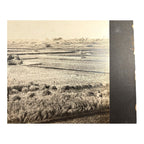 Antique Large Cabinet Card Early Photograph Cutting Rice Owned by Mike Wolfe