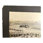 Antique Large Cabinet Card Early Photograph Cutting Rice Owned by Mike Wolfe