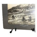 Antique Large Cabinet Card Early Photograph Paddy Fields Ceylon Owned Mike Wolfe