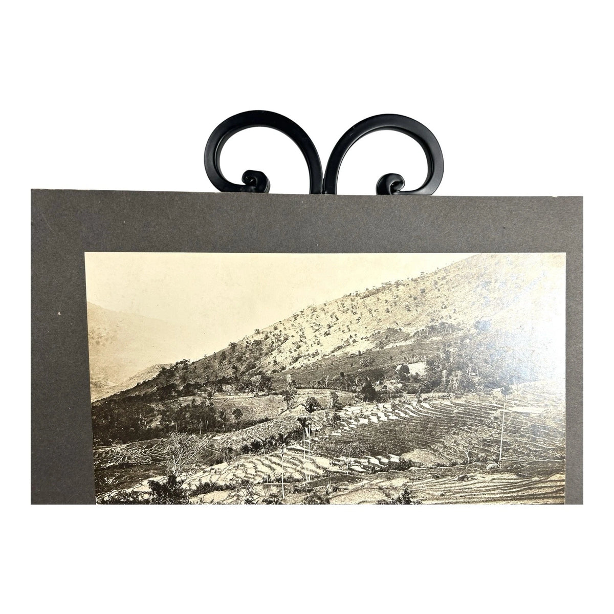 Antique Large Cabinet Card Early Photograph Paddy Fields Ceylon Owned Mike Wolfe