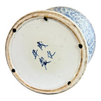 Antique Chinese Qing Blue & White Porcelain Double Happiness Wedding Ginger Jar