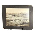 Antique Large Cabinet Card Early Photograph Cutting Rice Owned by Mike Wolfe