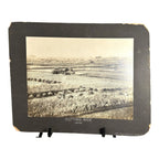 Antique Large Cabinet Card Early Photograph Cutting Rice Owned by Mike Wolfe
