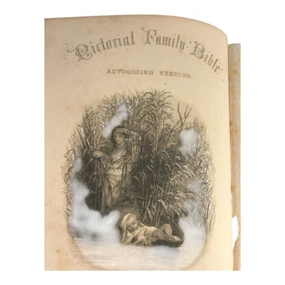 Antique Oversize Leather Bound Family Bible - Image 9