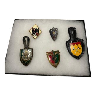Vintage Lot of 5 French Foreign Legion Parachute Military Medals Badges