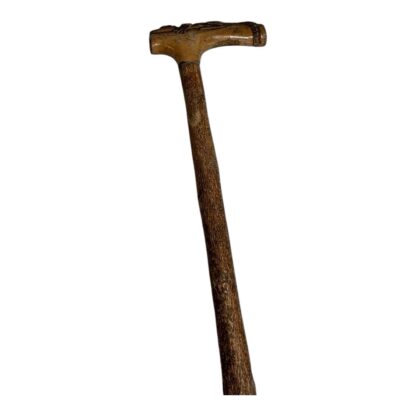 Antique Hand Carved Crocodile Alligator Top Cane - Image 9