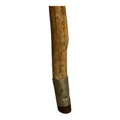 Antique Hand Carved Crocodile Alligator Top Cane - Image 12
