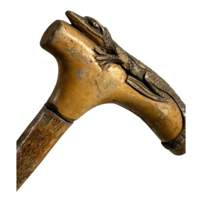 Antique Hand Carved Crocodile Alligator Top Cane - Image 17