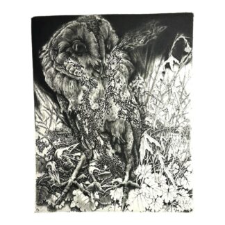Vintage Detailed Etching Entitled Gemengde Etstechniek by Hugo Besard